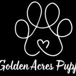 Profile picture of Golden Acres Puppies