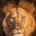 Profile picture of Hakena Ivan